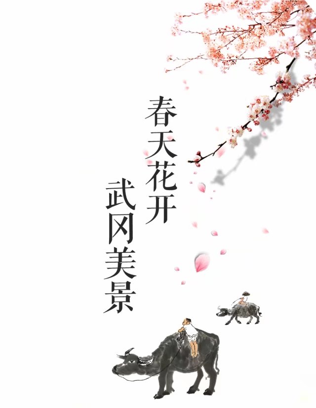 春暖花开，带您欣赏武冈美景(图1)