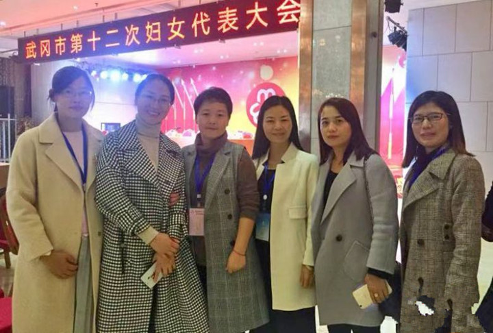 武冈市第十二次妇女代表大会召开(图6)