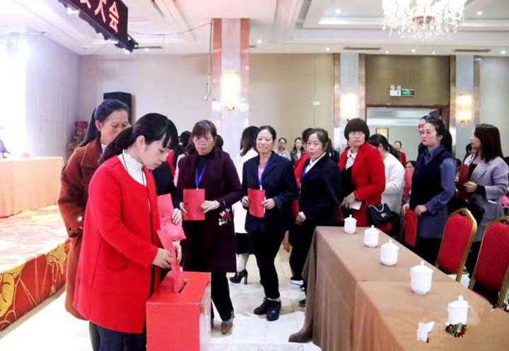 武冈市第十二次妇女代表大会召开(图3)