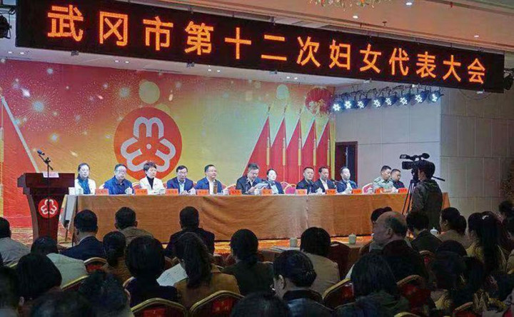 武冈市第十二次妇女代表大会召开(图1)