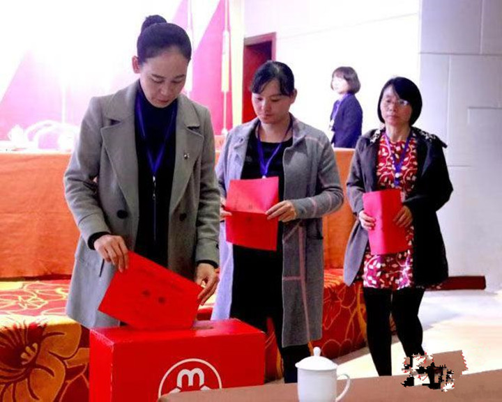 武冈市第十二次妇女代表大会召开(图2)