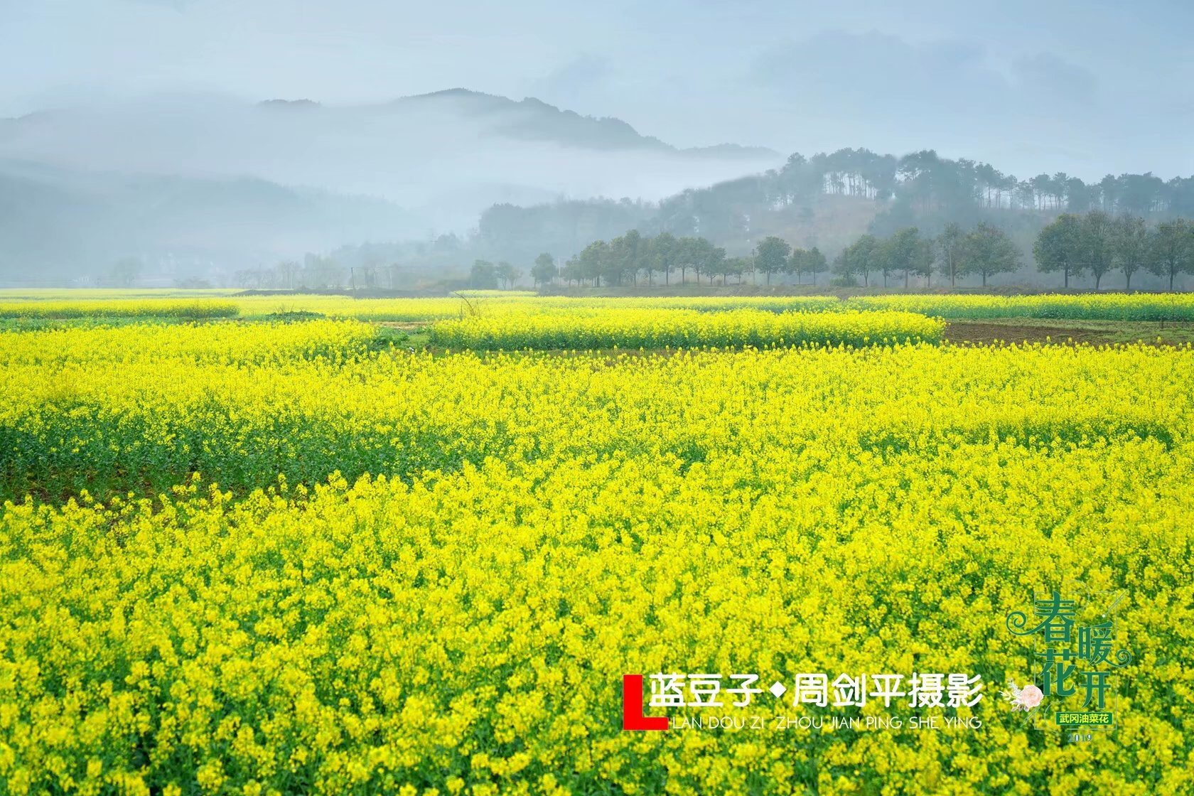 春暖花开，武冈七大最美赏花地点不容错过(图1)