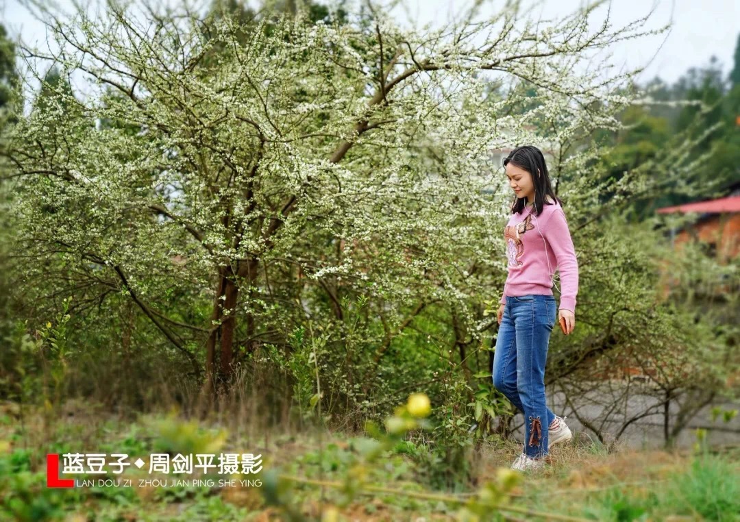 春暖花开，武冈七大最美赏花地点不容错过(图6)