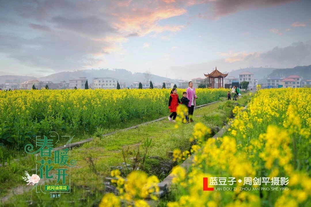 春暖花开，武冈七大最美赏花地点不容错过(图7)