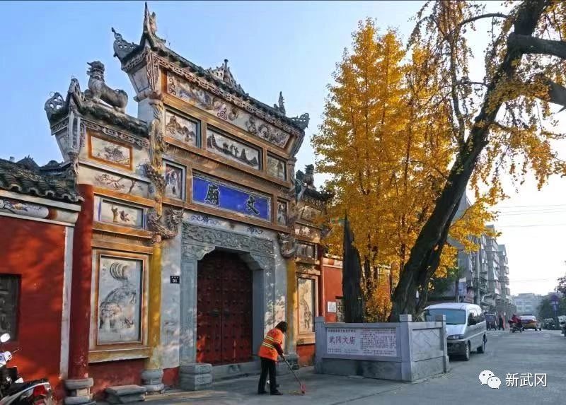 武冈市4896棵古树名木有了“身份证”(图1)