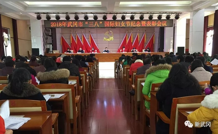 武冈市召开“三八”国际妇女节纪念暨表彰大会(图1)