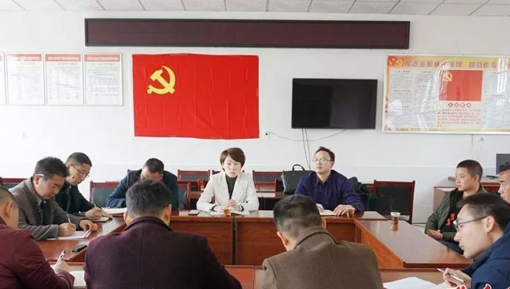 傅丽华调研双元村扶贫产业项目(图1)