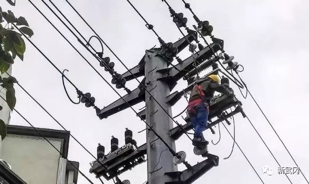 国网武冈供电公司全力迎峰度冬保供电(图2)