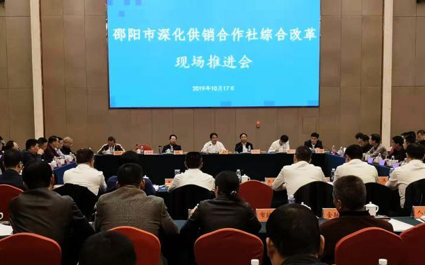 邵阳市深化供销合作社综合改革现场推进会在武冈市召开(图1)