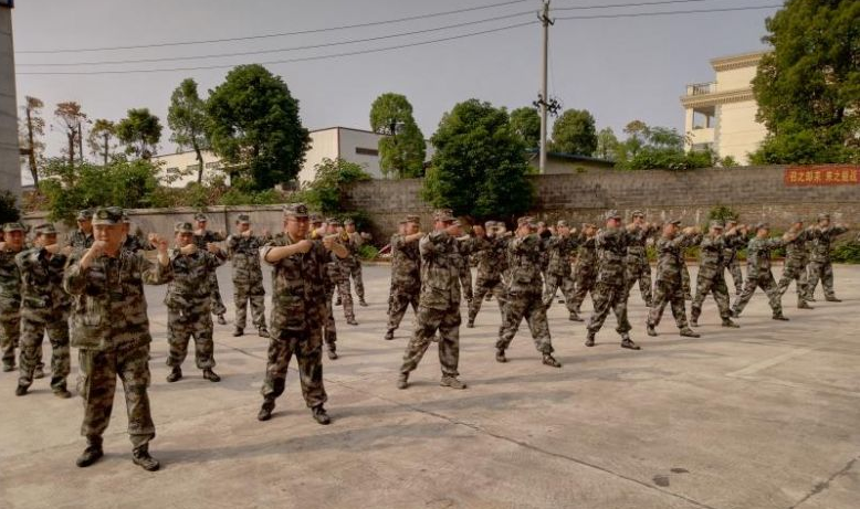 武冈市启动年度基干民兵军事训练(图3)