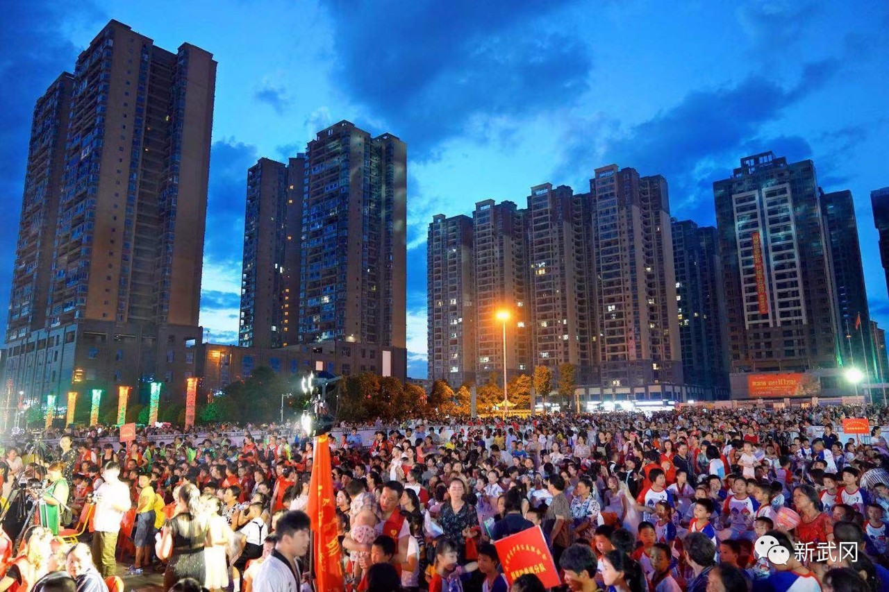 武冈市新时代文明实践再添生力军(图4)