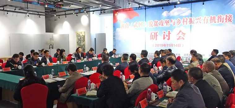 湖南（武冈）脱贫攻坚与乡村振兴有机衔接研讨会在武冈市举行(图1)