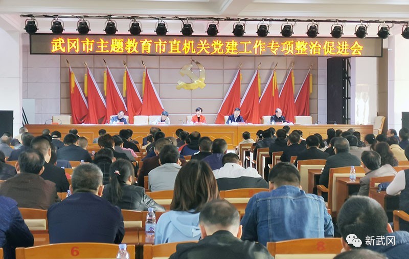 武冈市召开主题教育市直机关党建工作专项整治促进会(图1)