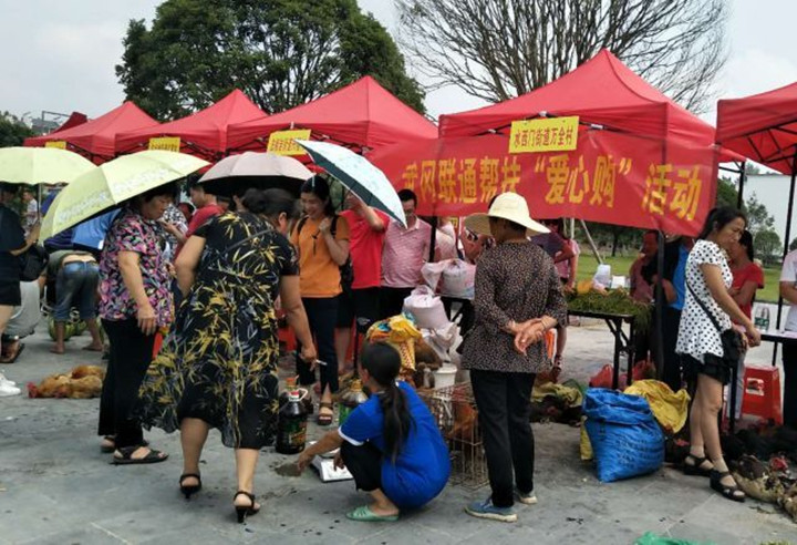 武冈市269家企事业单位集中开展“爱心购”活动(图1)
