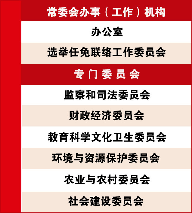 武冈市深化机构改革动员大会召开(图13)