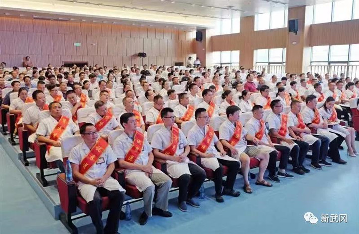 武冈市喜庆第二届中国医师节(图2)