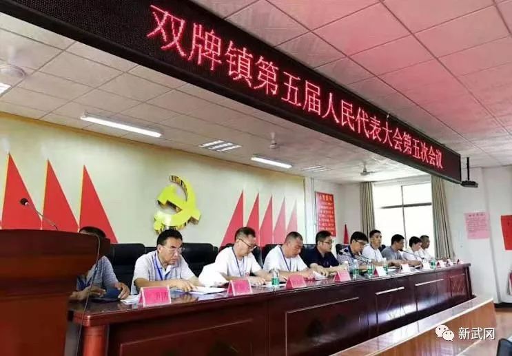 武冈市全面实践乡镇人大“一年两会”(图2)