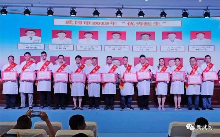 武冈市喜庆第二届中国医师节(图4)