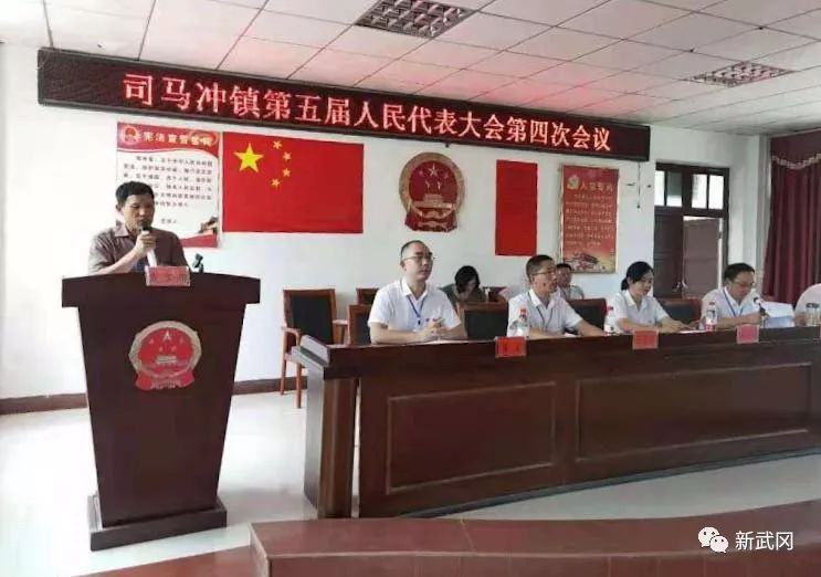 武冈市全面实践乡镇人大“一年两会”(图3)