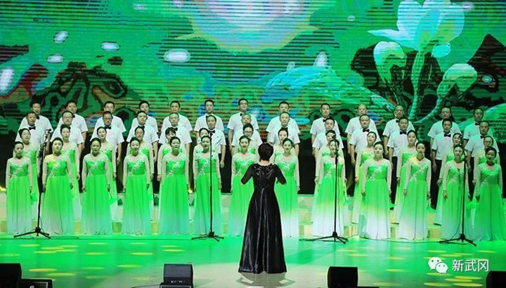 武冈市举行庆祝建党98周年暨新中国成立70周年“我和我的祖国”合唱赛(图3)
