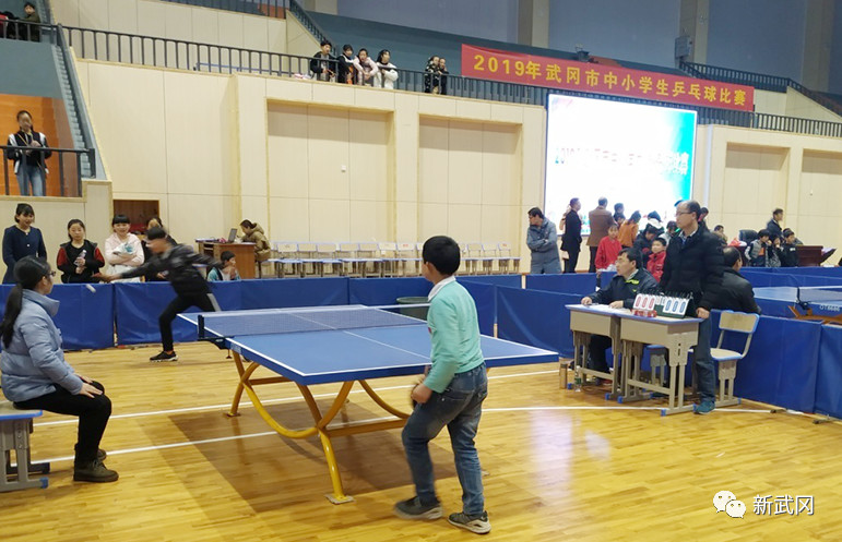 全面提升体艺素养 武冈市在邵阳市中小学田径运动会上获佳绩(图2)