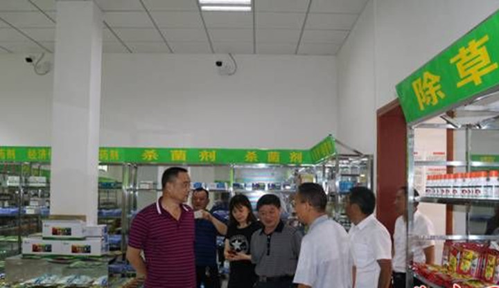 邵阳市“2018年放心农资下乡进村宣传周活动”在武冈隆重举行(图2)
