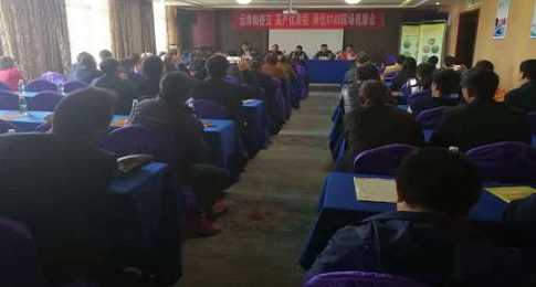 2018年邵阳市再生稻现场观摩会在武冈市隆重举办(图2)
