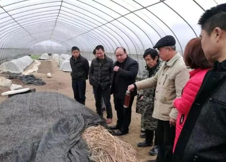 武冈：科技扶贫助推乡村振兴(图2)