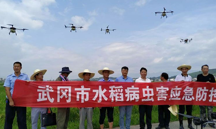 武冈市农业农村局开展水稻病虫害应急防控(图2)