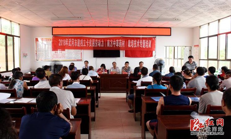 武冈乡村扶贫新添好“药方”(图1)