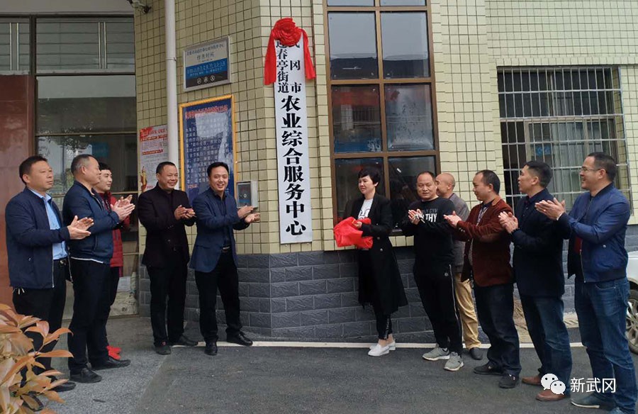 武冈市乡镇（街道）新设机构全部挂牌并投入运行(图2)