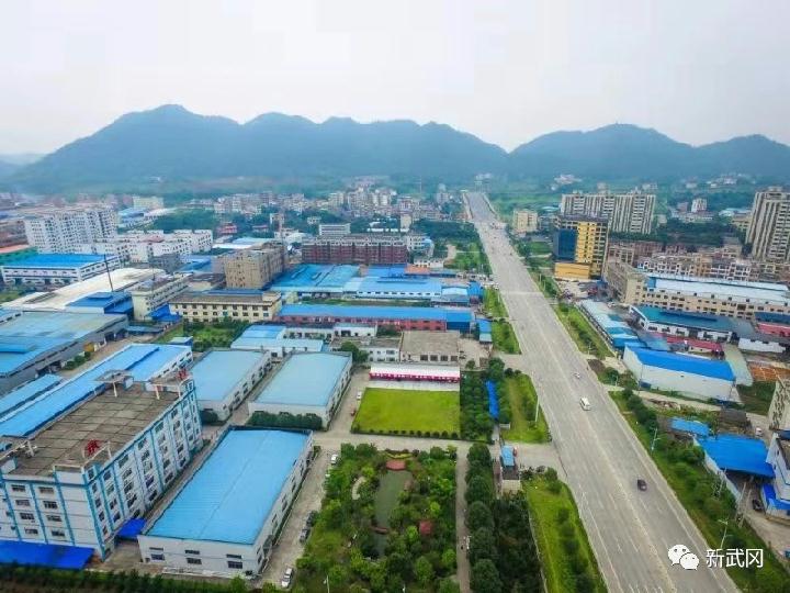 武冈：争当承接产业转移“排头兵”(图4)