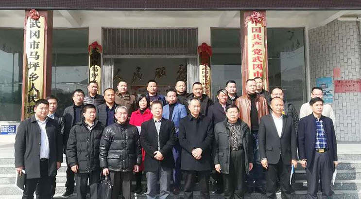 马坪乡商会正式成立 李慎中当选会长(图3)