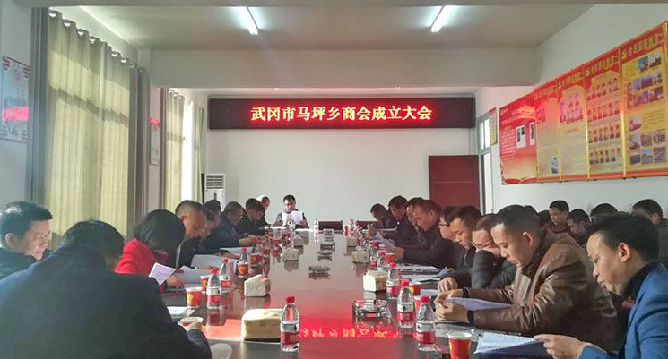 马坪乡商会正式成立 李慎中当选会长(图1)