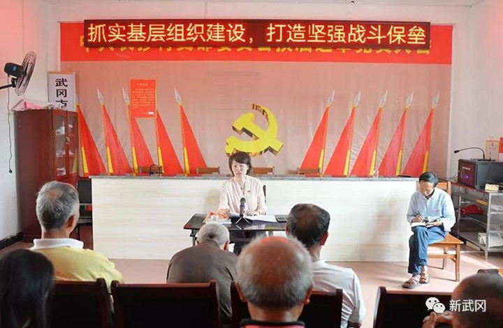 傅丽华赴长抄村调研座谈并讲党课(图1)
