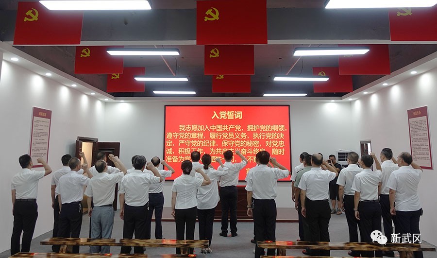 武冈市扎实推动主题教育起步开局(图2)