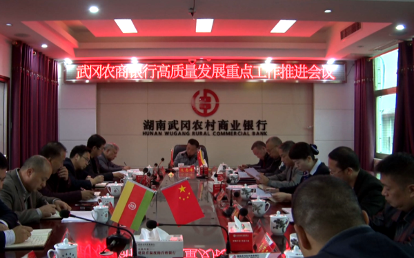 推进武冈农商银行高质量发展(图1)