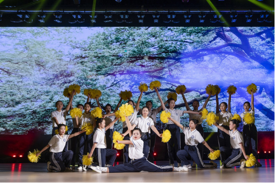 武冈市技工学校举行三十周年校庆暨迎元旦文艺汇演活动(图7)