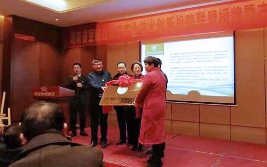 湖南省豆制品加工产业技术创新战略联盟在武冈成立(图3)