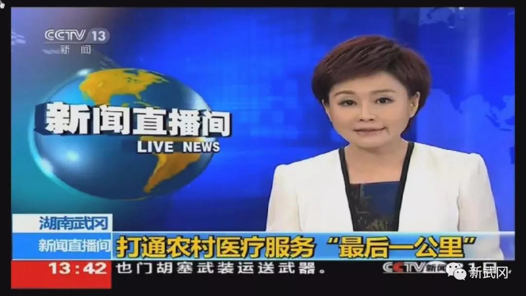 武冈市“小病不出村”被省政府通报表扬(图1)