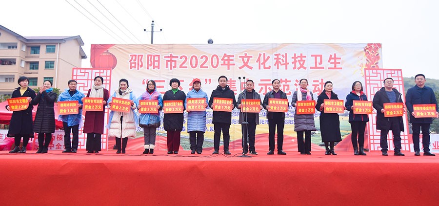 邵阳市2020年文化科技卫生“三下乡”集中示范活动在武冈市大甸镇启动(图4)