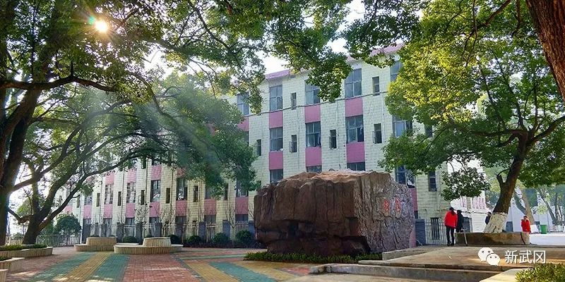 唐克俭调研开学准备和教育布局工作(图2)