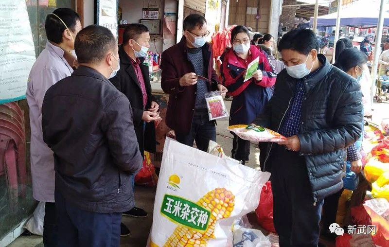 武冈：打牢稳粮基础 惠农支粮处处春(图4)