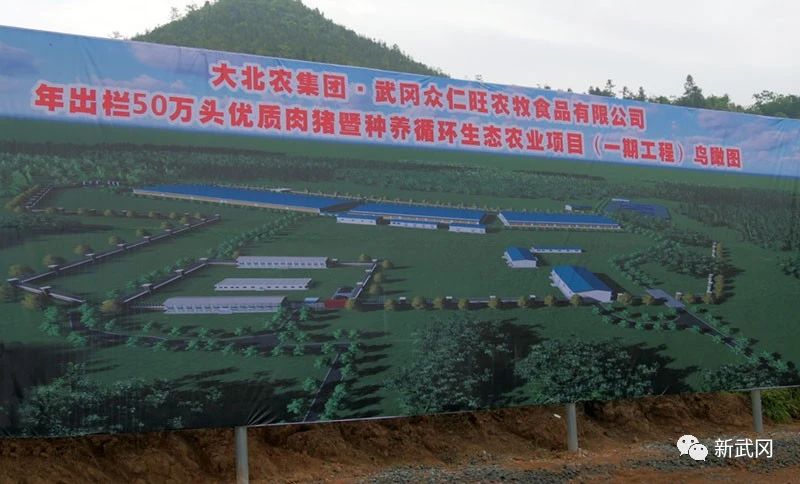侯文调研现代农业产业项目工作(图2)