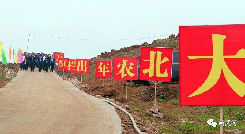侯文调研现代农业产业项目工作(图1)