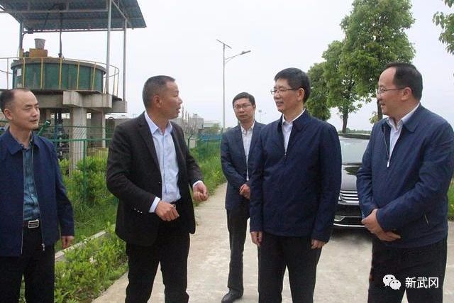 刘事青调研指导武冈早稻生产和生猪养殖工作(图1)