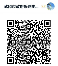 武冈市财政局关于武冈市政府采购电子卖场供应商入驻有关事项的通知(图1)