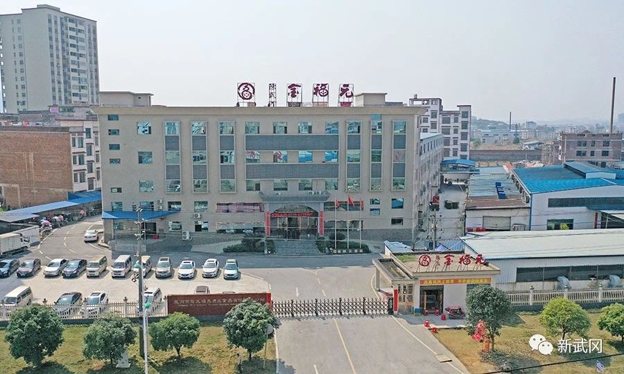 武冈市经开区上半年规模以上工业增加值增速列邵阳市第一(图5)