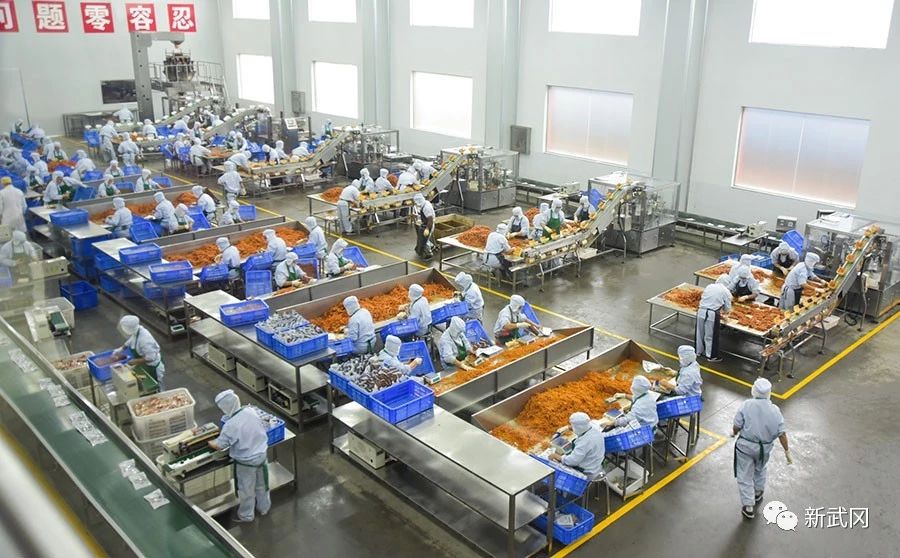 武冈市经开区上半年规模以上工业增加值增速列邵阳市第一(图6)