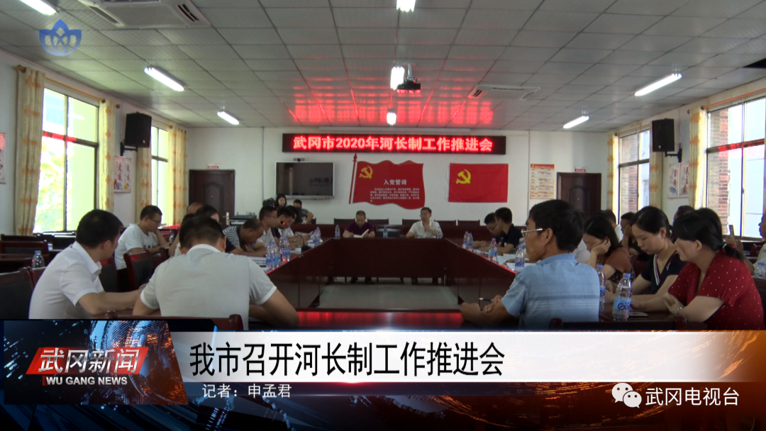 武冈市召开河长制工作推进会(图1)